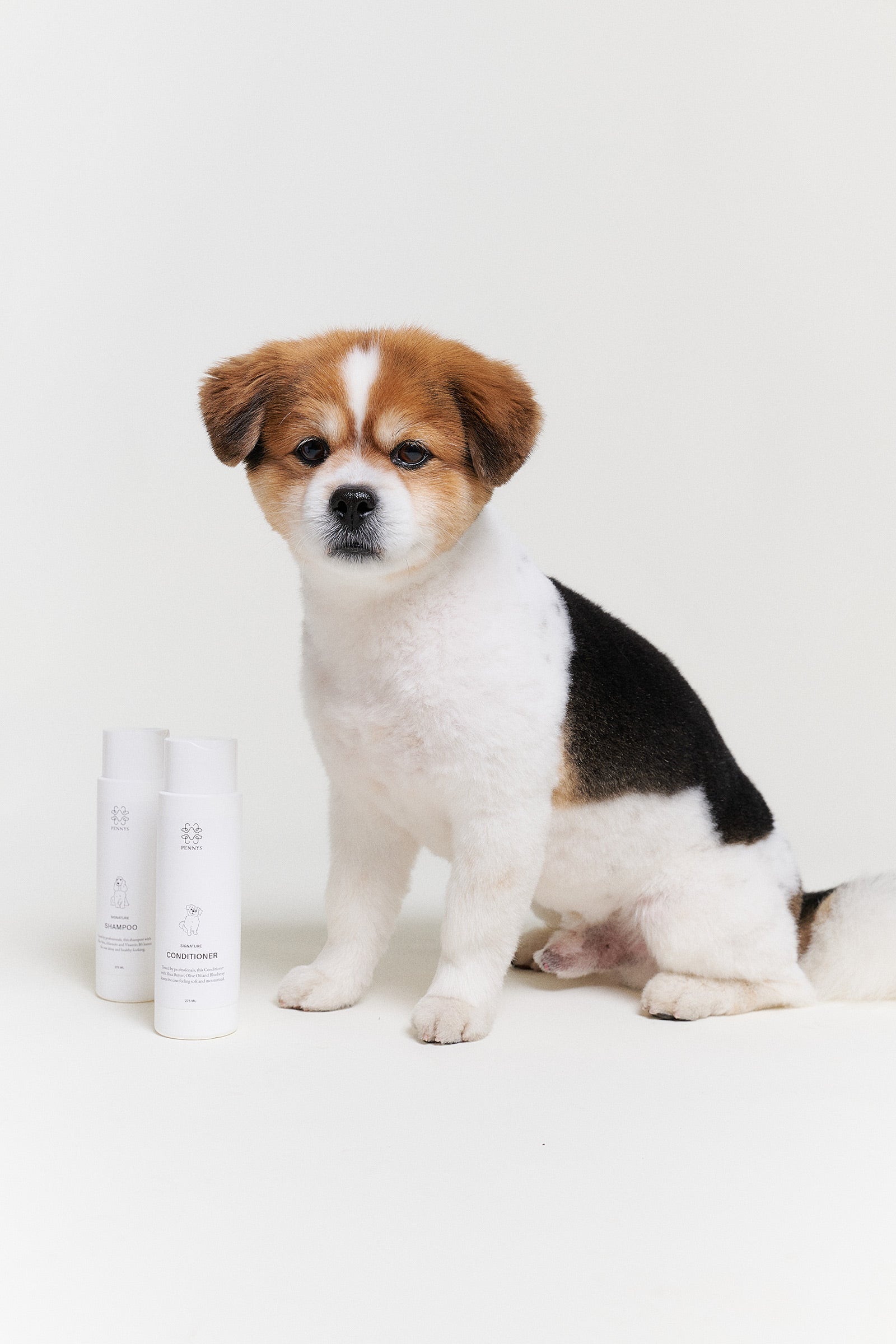 Hunden Rufus och Pennys Dog Spa Duo produkt