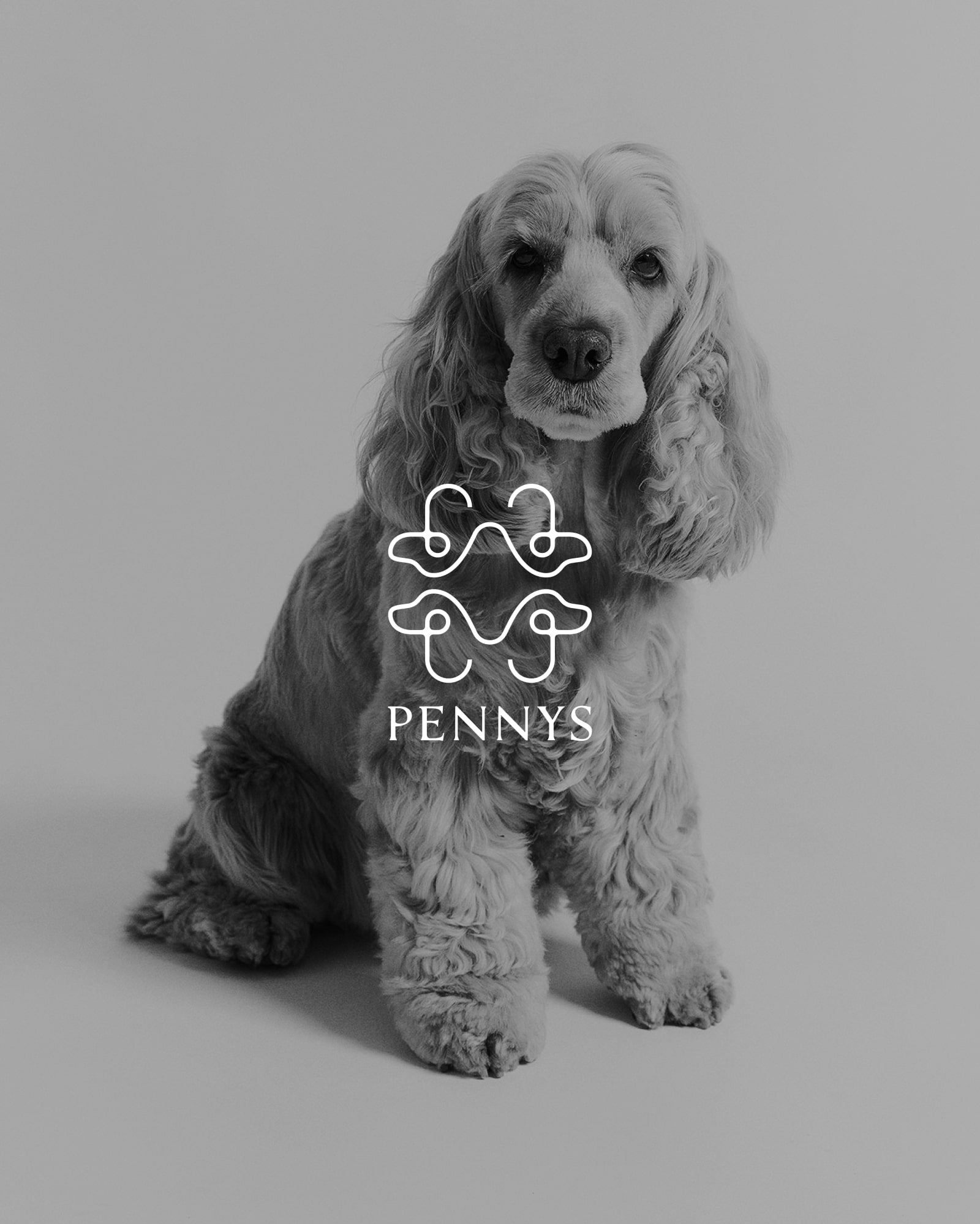 Pennys presentkort